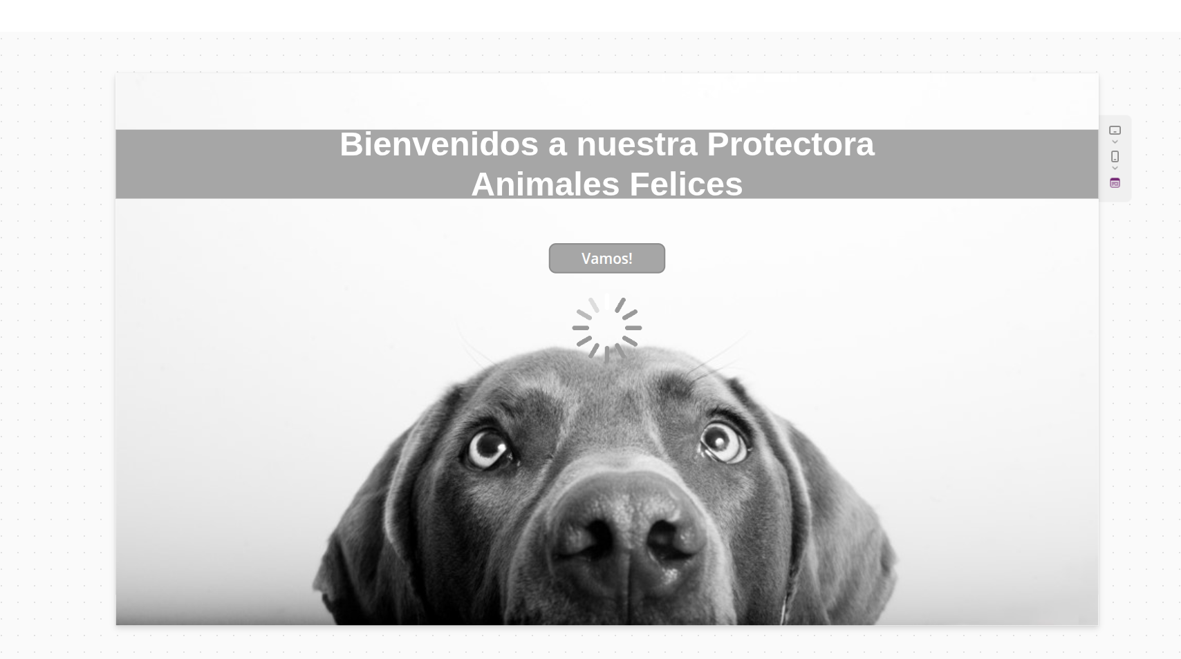 Protectora de Animales